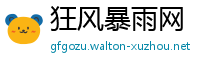 狂风暴雨网